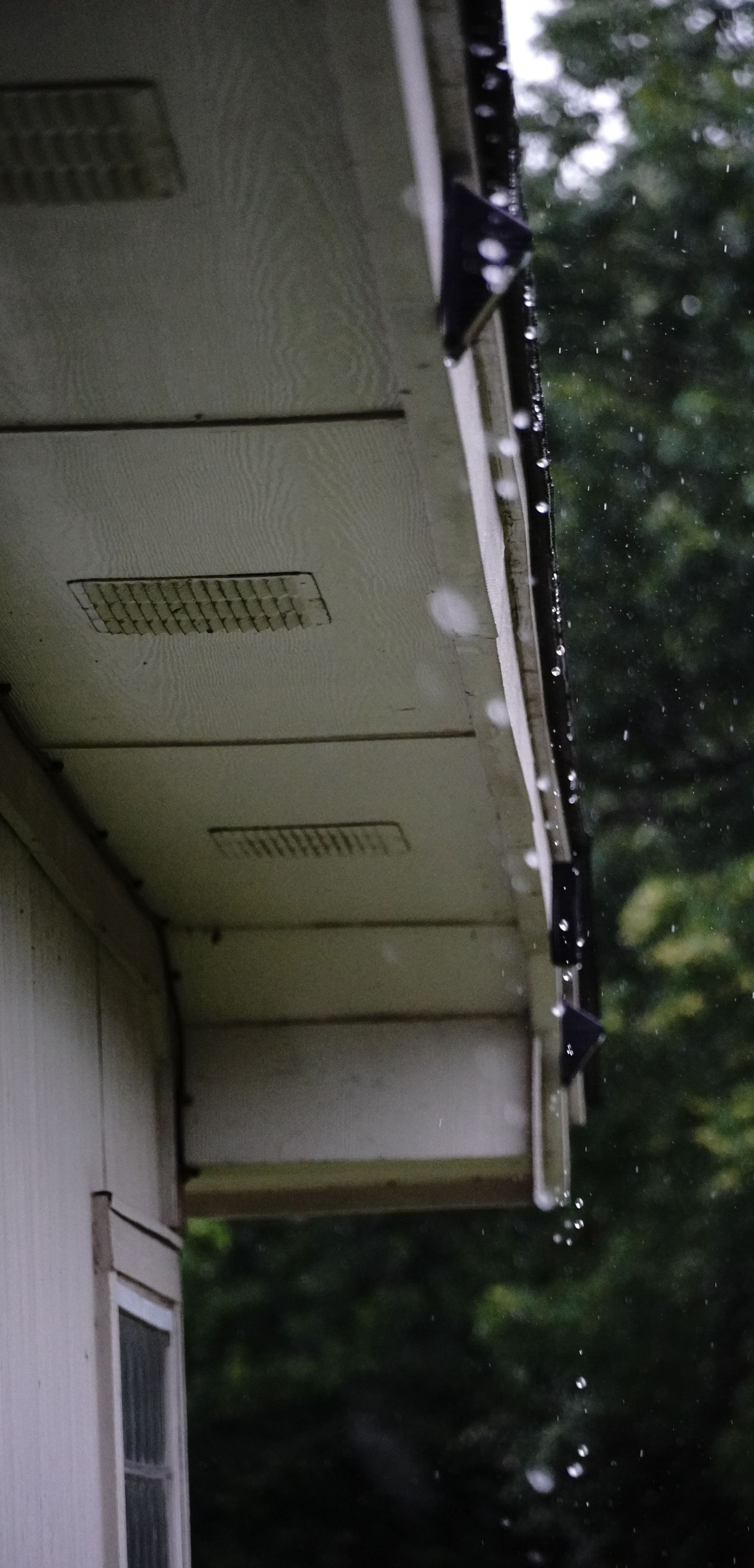 Side view of a house roof and eaves with vents, beside trees in a wooded area