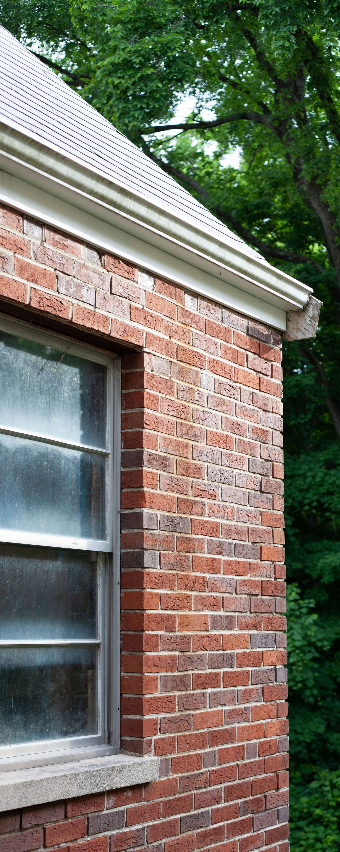 Red brick building corner with a white-trimmed window and leafy green trees behind it