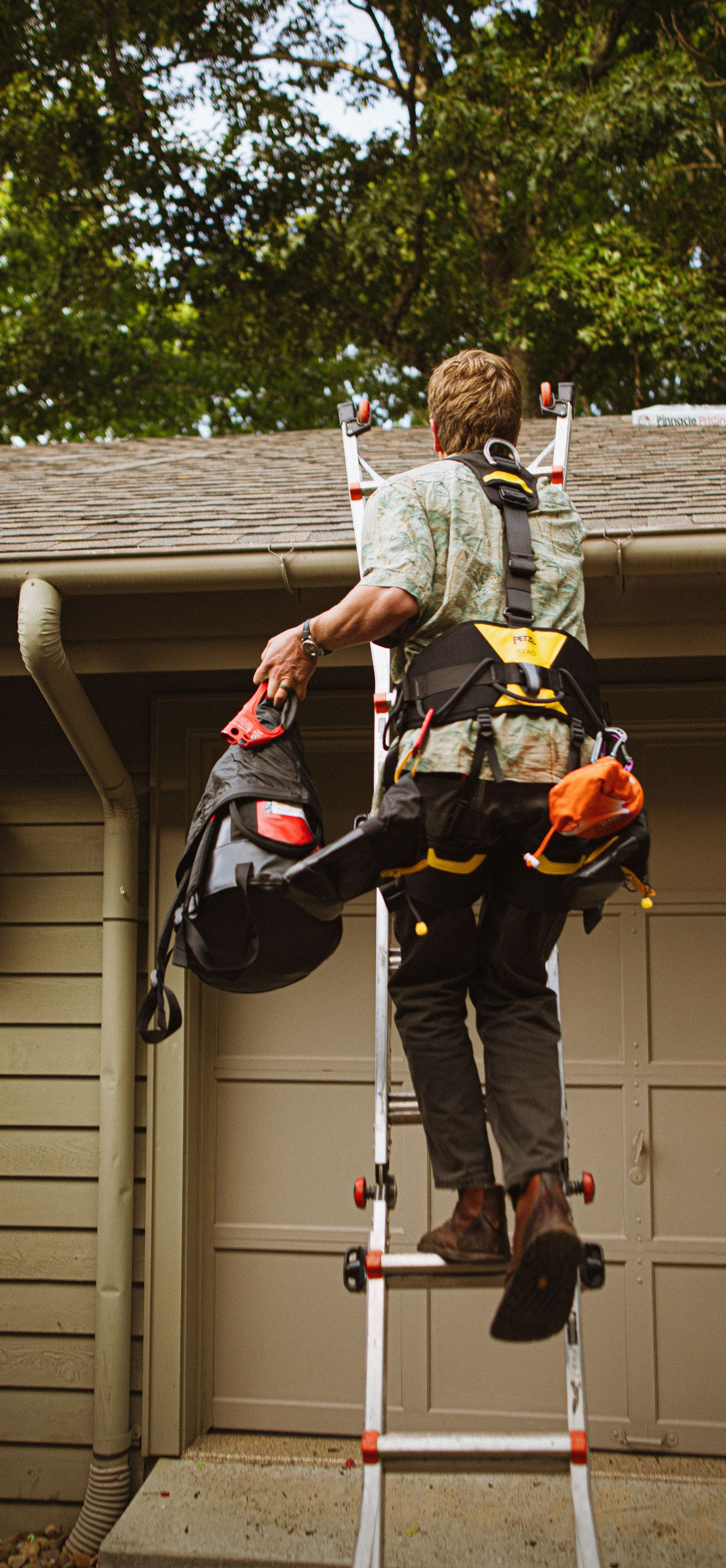 Worker on a ladder trimming tree branches near a house roof and garage.