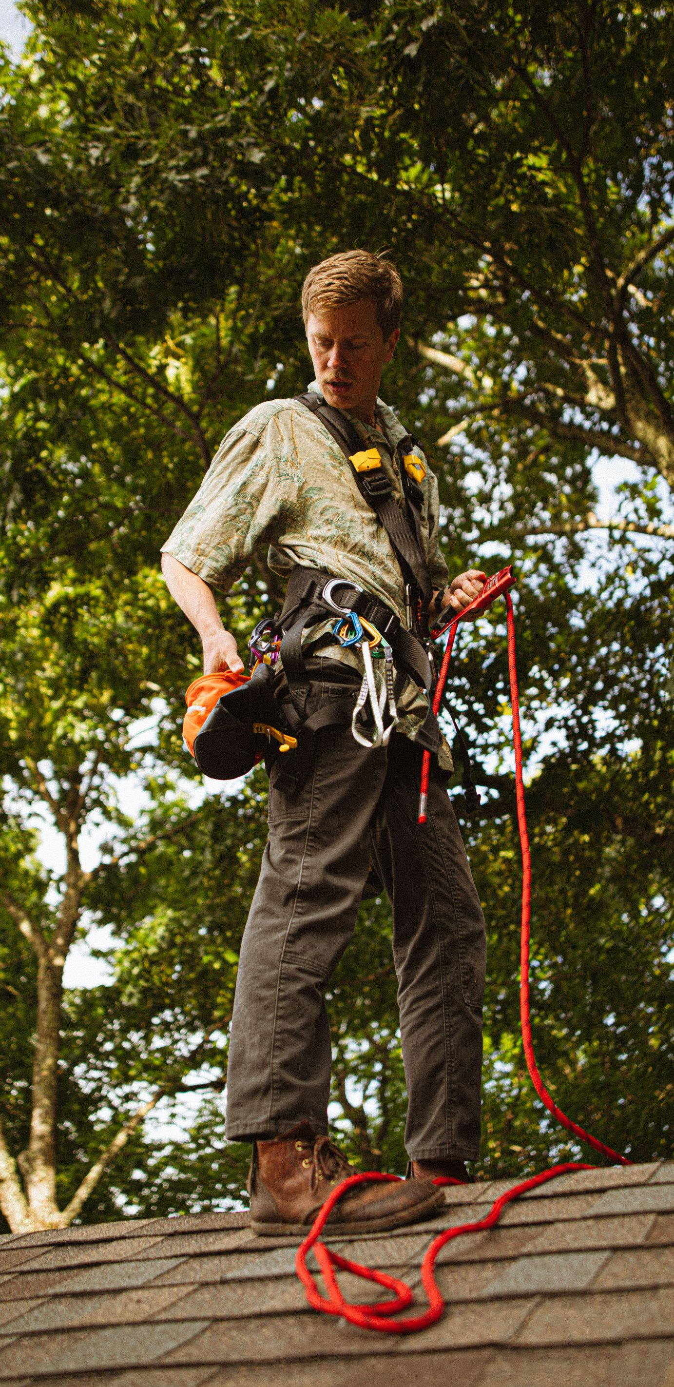 Tree worker wearing harness and rope stands on a shingled roof with a chainsaw beneath leafy branches