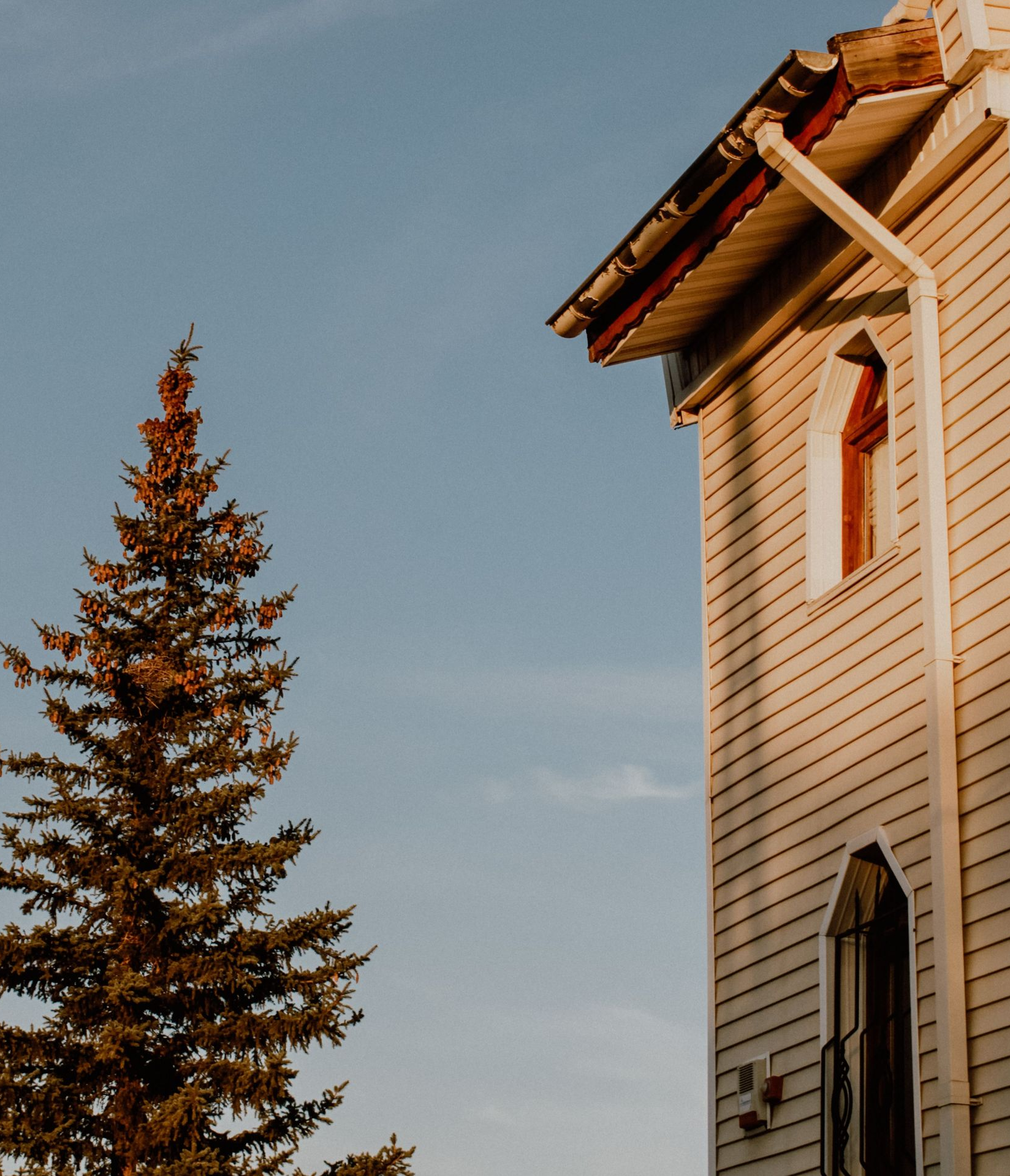 White house siding beside a tall evergreen tree under a clear blue sky