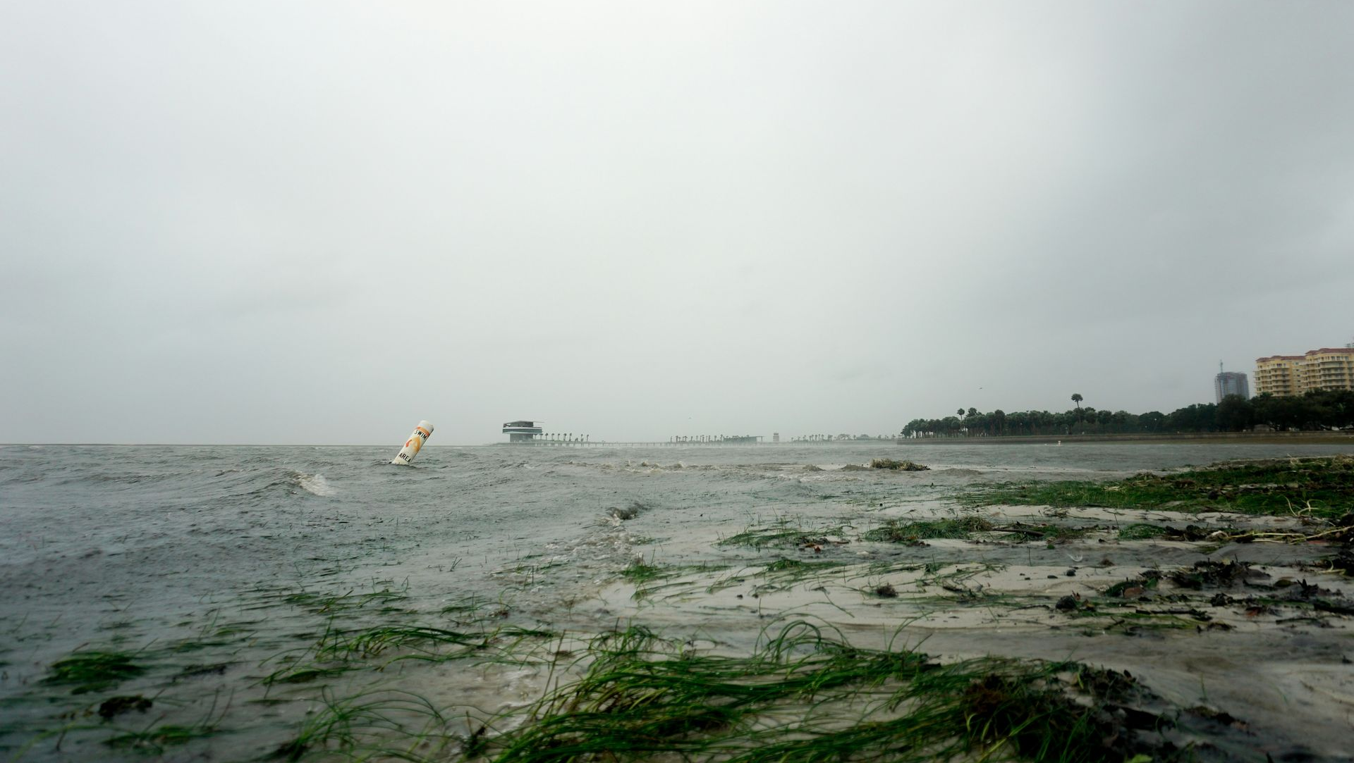 Stormy gray seascape with choppy water, seaweed-covered shore, and distant boats on the horizon
