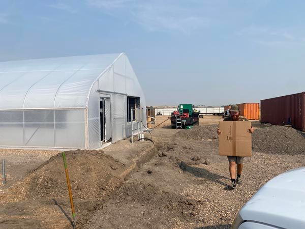 Temporary greenhouse beside gravel road with a person carrying a cardboard box and a tractor in the distance