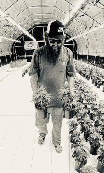 Person in a greenhouse carrying pots of cannabis plants, wearing a cap and glasses.