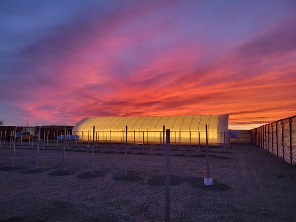 Sunset over a fenced industrial yard with a lit warehouse under a pink-orange sky