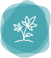 Turquoise abstract floral logo with a white line-drawn plant icon and layered translucent circles
