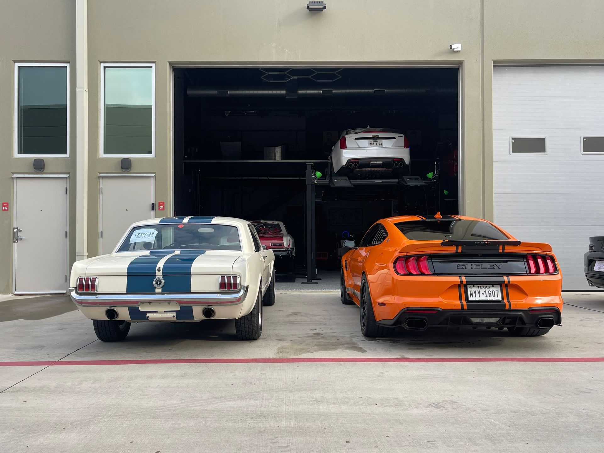 Classic white Mustang with blue stripes, and a modern orange Mustang in front of a garage. | Auto Motive