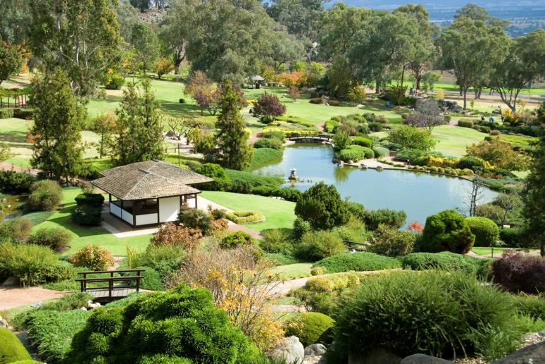 A Garden With a Pond and a Hut in the Middle of It — Port Stephens Removals & Storage In Tea Gardens, NSW