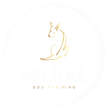Gold line drawing of a dog. Above "NO Z LIKE" and "DOG TRAINING" in white text.