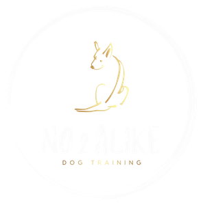 Gold line drawing of a dog. Above "NO Z LIKE" and "DOG TRAINING" in white text.