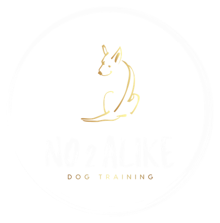 Gold line drawing of a dog. Above "NO Z LIKE" and "DOG TRAINING" in white text.
