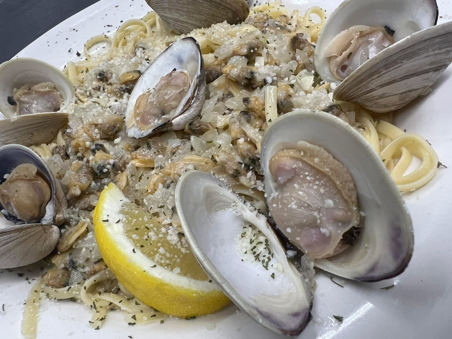 Crazy Clam 11