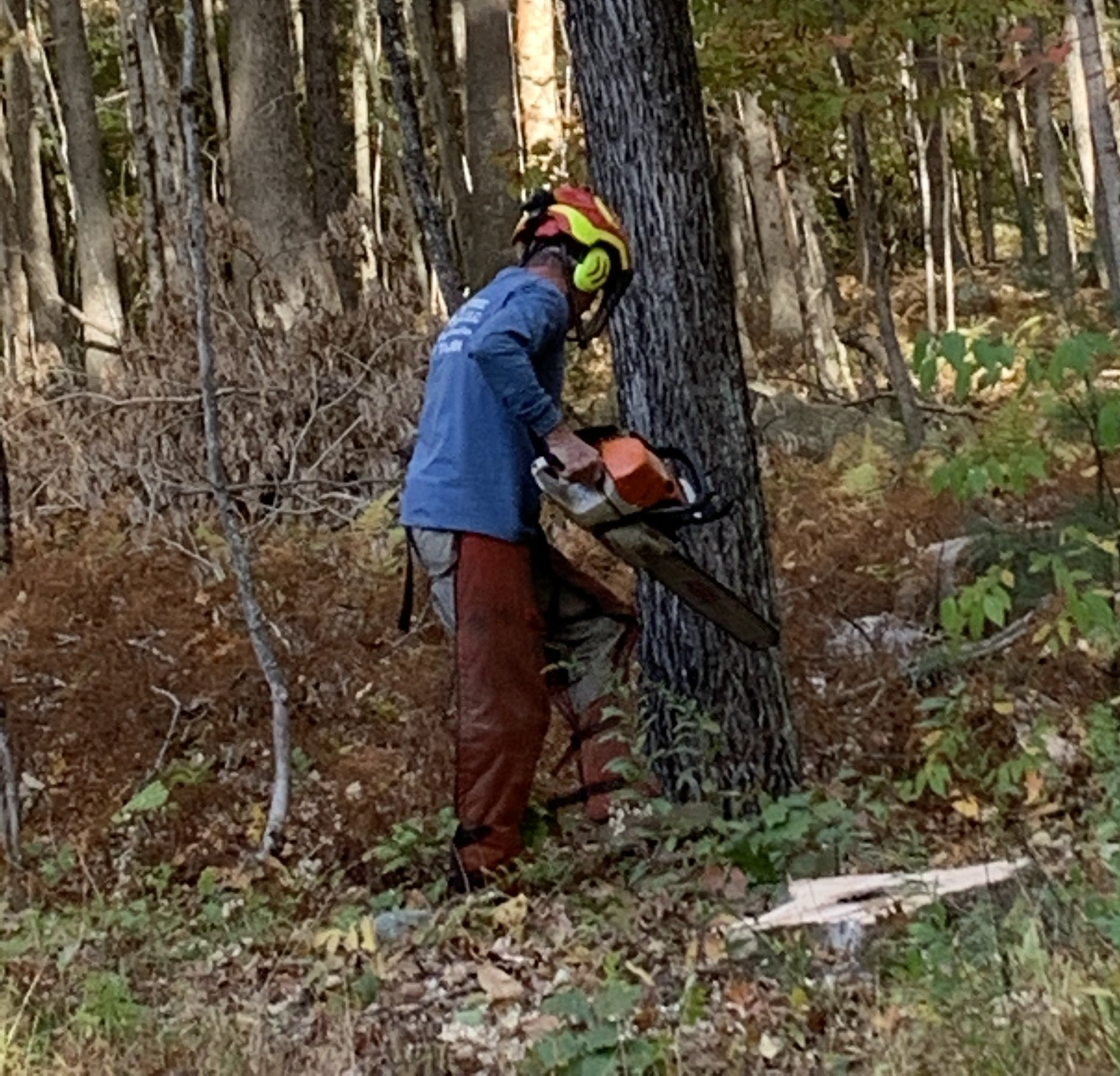 Truck | Brooklyn, CT | Page's Tree Service LLC