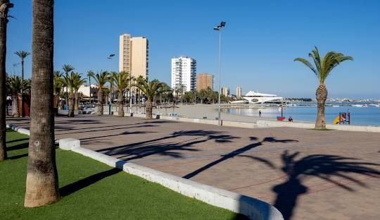 A row of palm trees along a sidewalk next to a body of water.