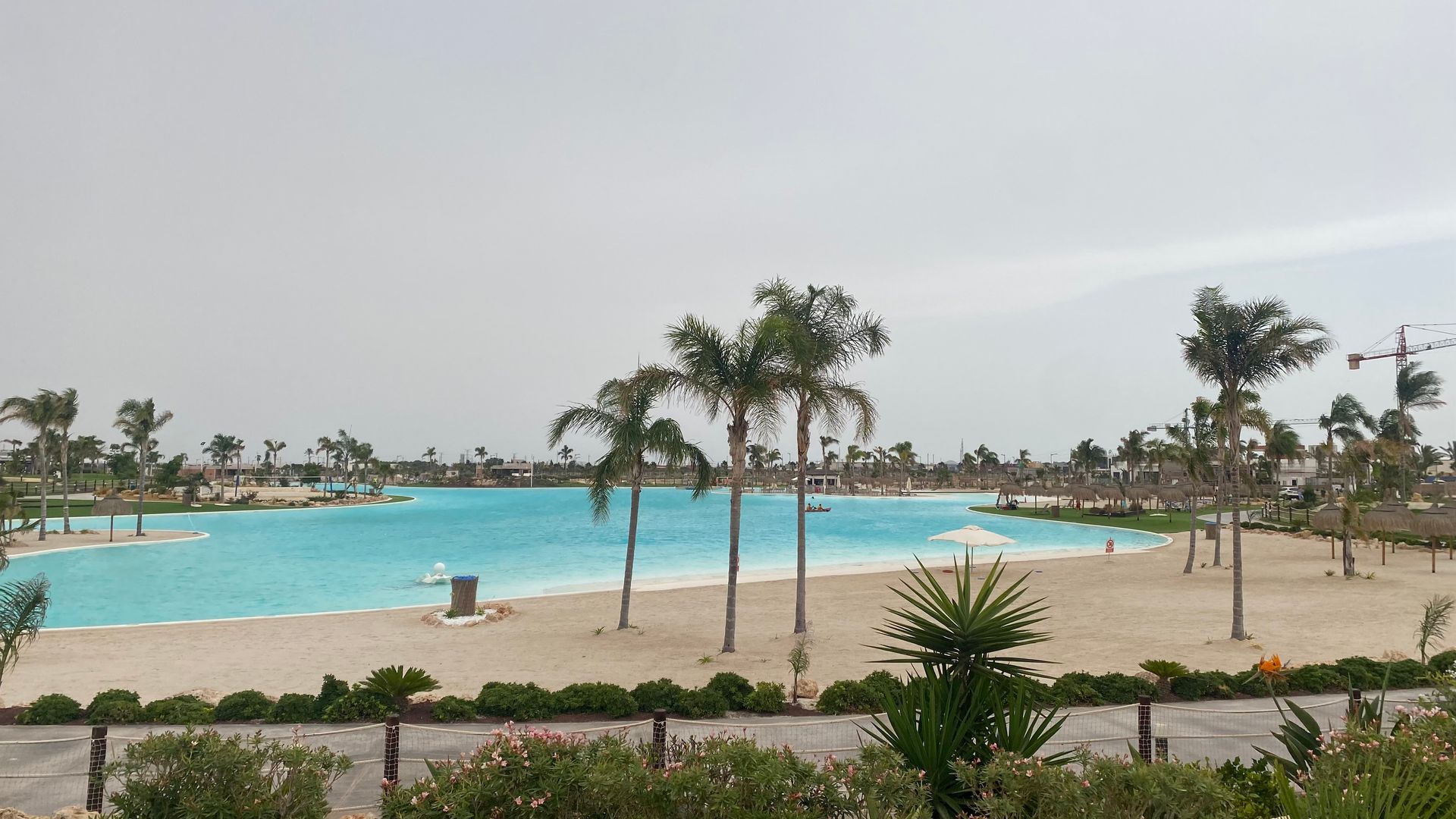 A large body of water surrounded by palm trees