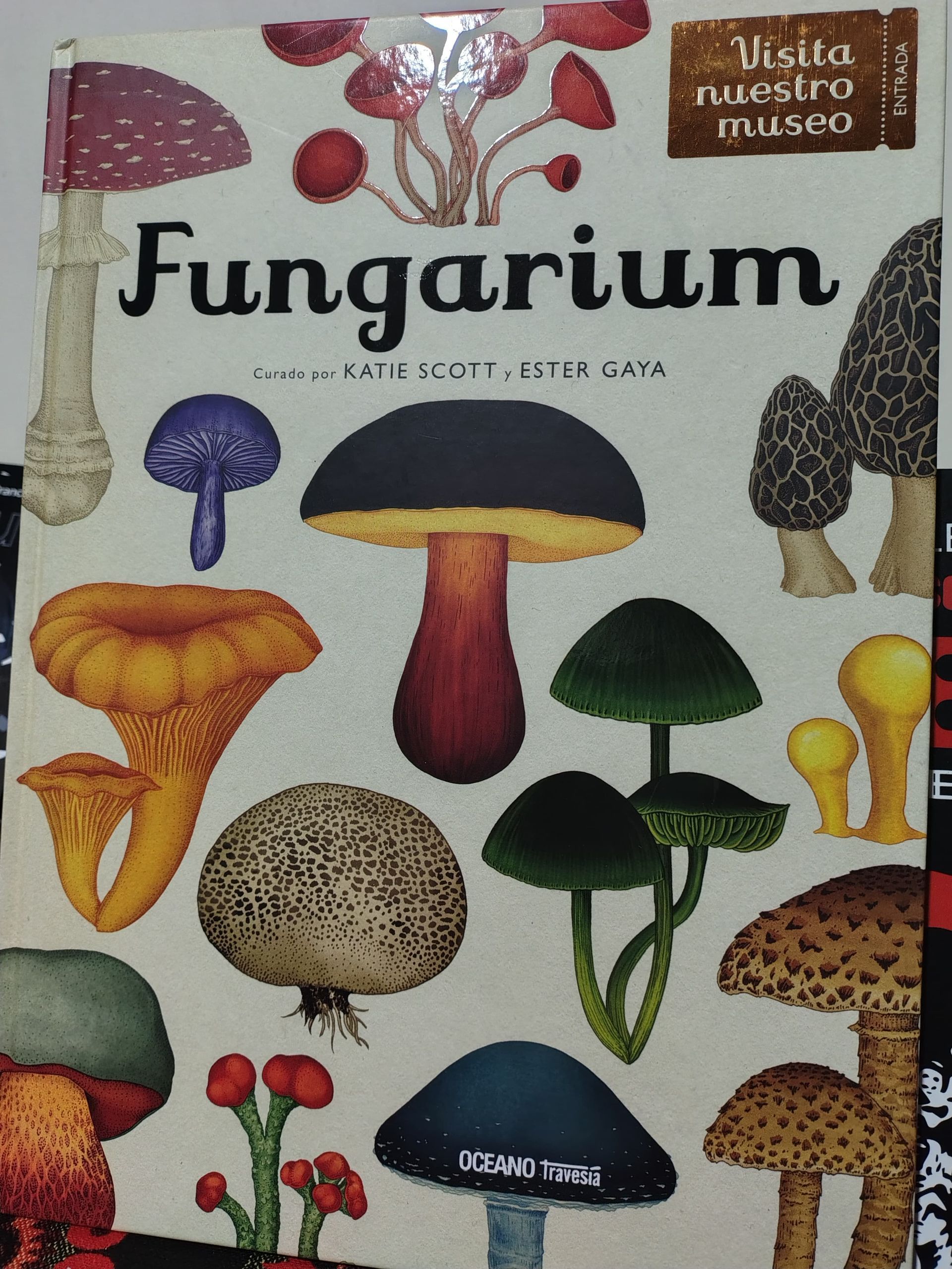 portada de un libro titulado Fungarium, muestra colección de hongos coloridos y diversos ilustrados con un estilo botánico.