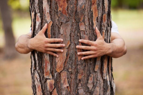 A man is hugging a tree in the woods.