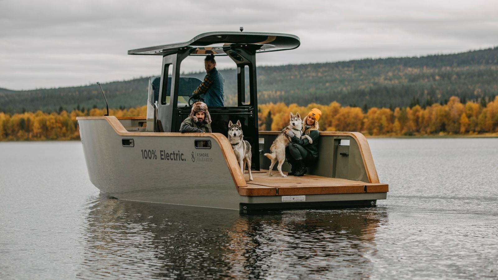 A boat with two dogs on it is floating on a lake.