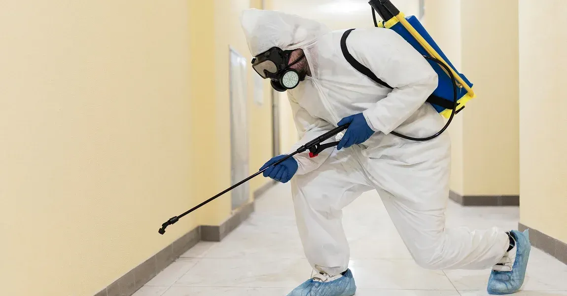 Mold remediation in a residential hallway in Maryland.
