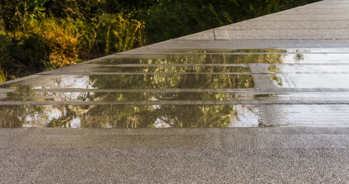 Puddle on asphalt reflects trees and sky, partially obscuring the steps of a walkway.