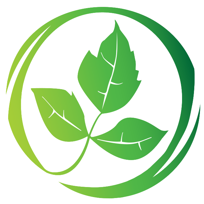 A green leaf is in a green circle on a white background.