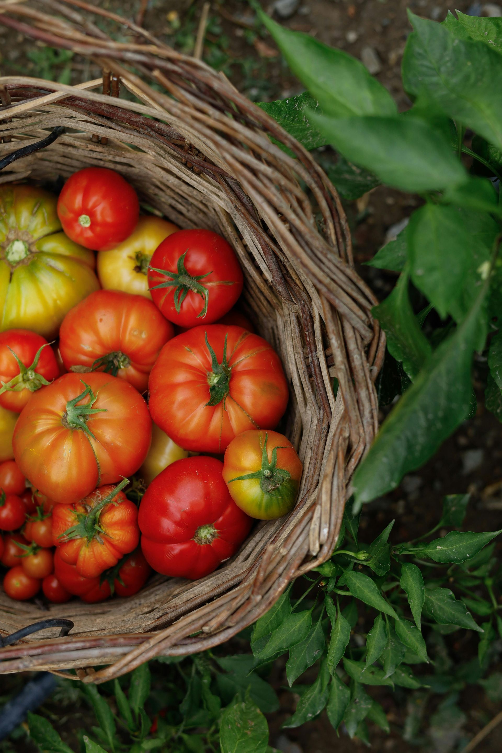 What Do Lasagna and Estate Planning Have in Common?

