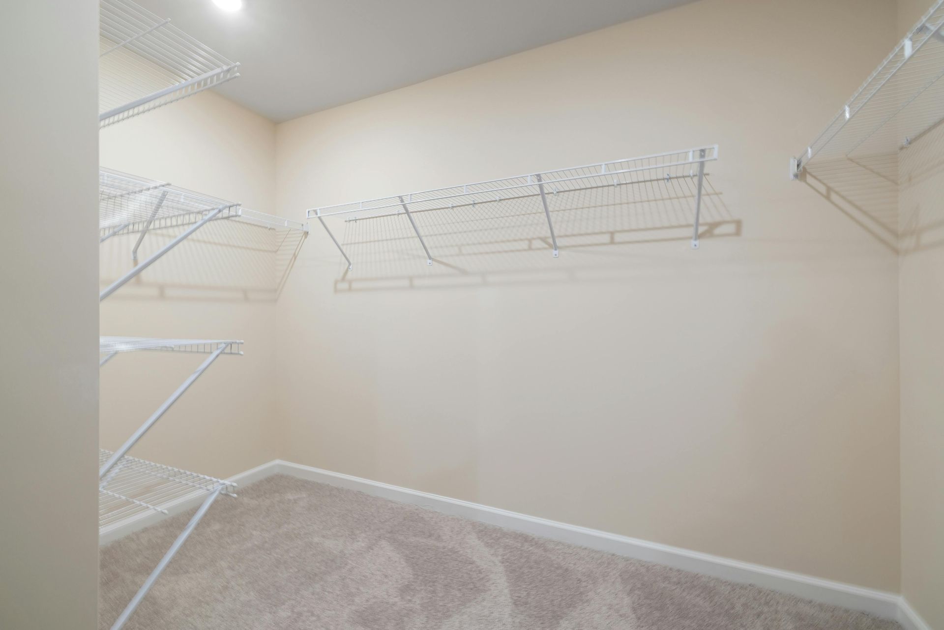 Empty walk-in closet with wire shelving and beige carpet on the floor.
