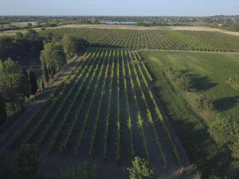 Tenuta La Lepre