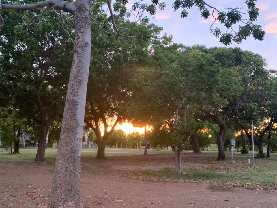 Sunset through trees in a park, with green foliage and a light-colored tree trunk in the foreground — Karumba Point Holiday Tourist Park in Karumba, QLD