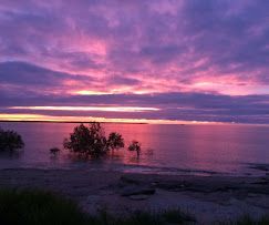 Purple Sunset Over a Calm Ocean, With Mangrove Trees in the Foreground — Karumba Point Holiday Tourist Park in Karumba, QLD