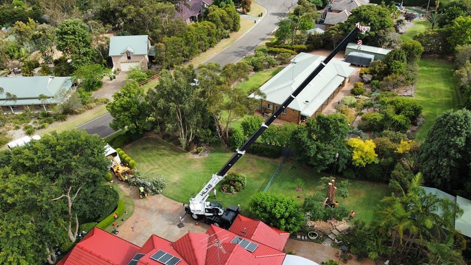 Professional Hire Crane