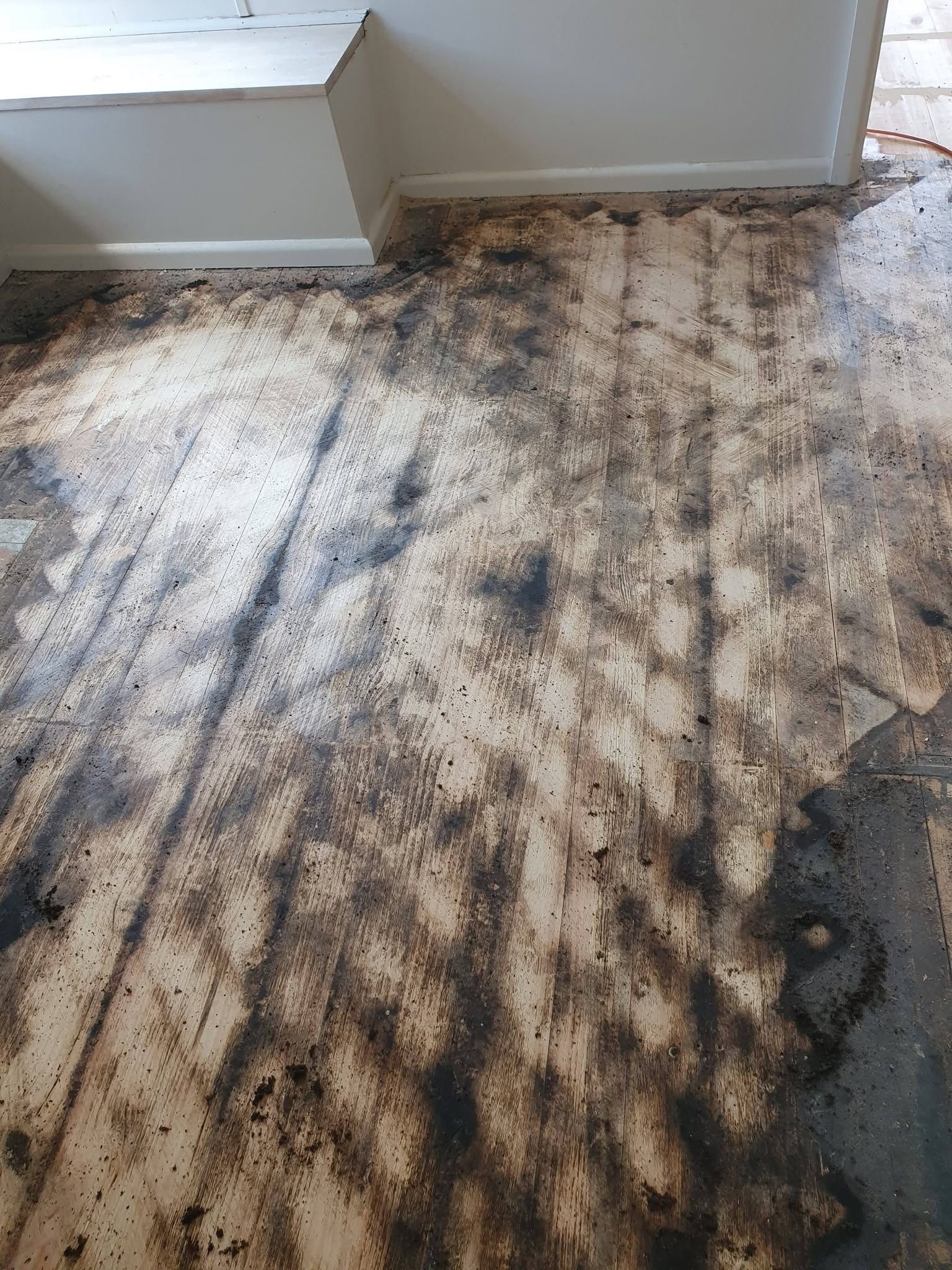 Carpet with extensive dark water damage and mold-like staining near a wall and baseboard.