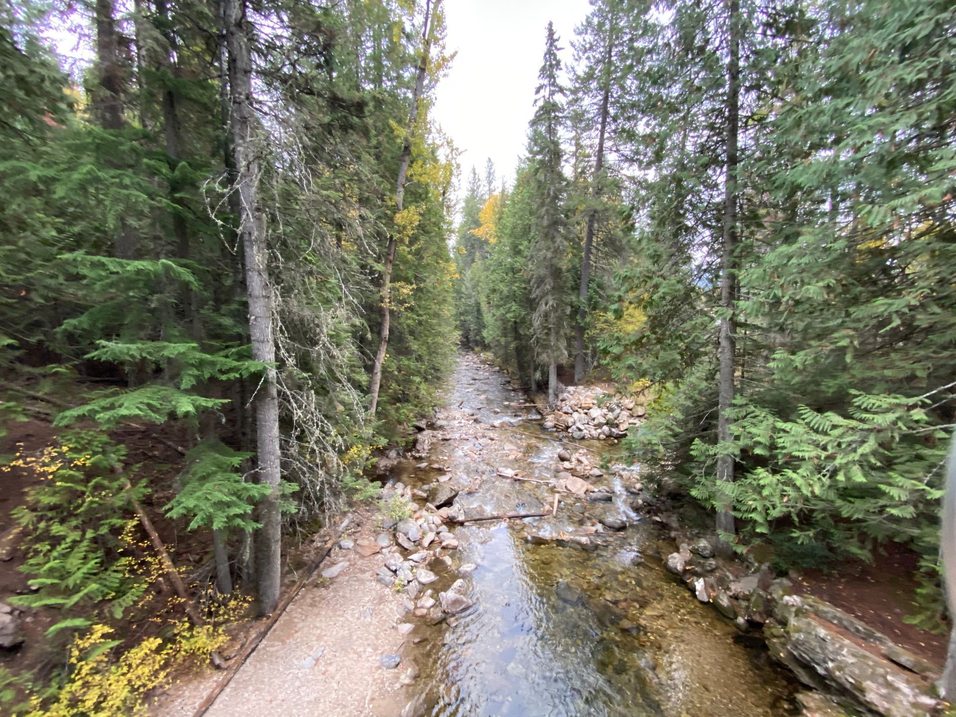 stream