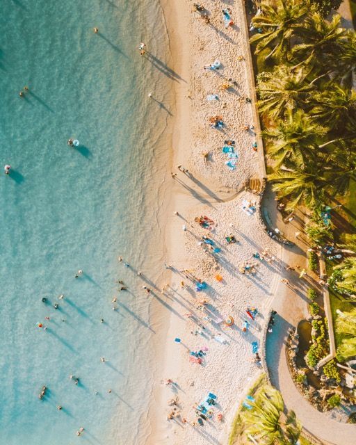 An aerial view of a beach filled with people and palm trees.