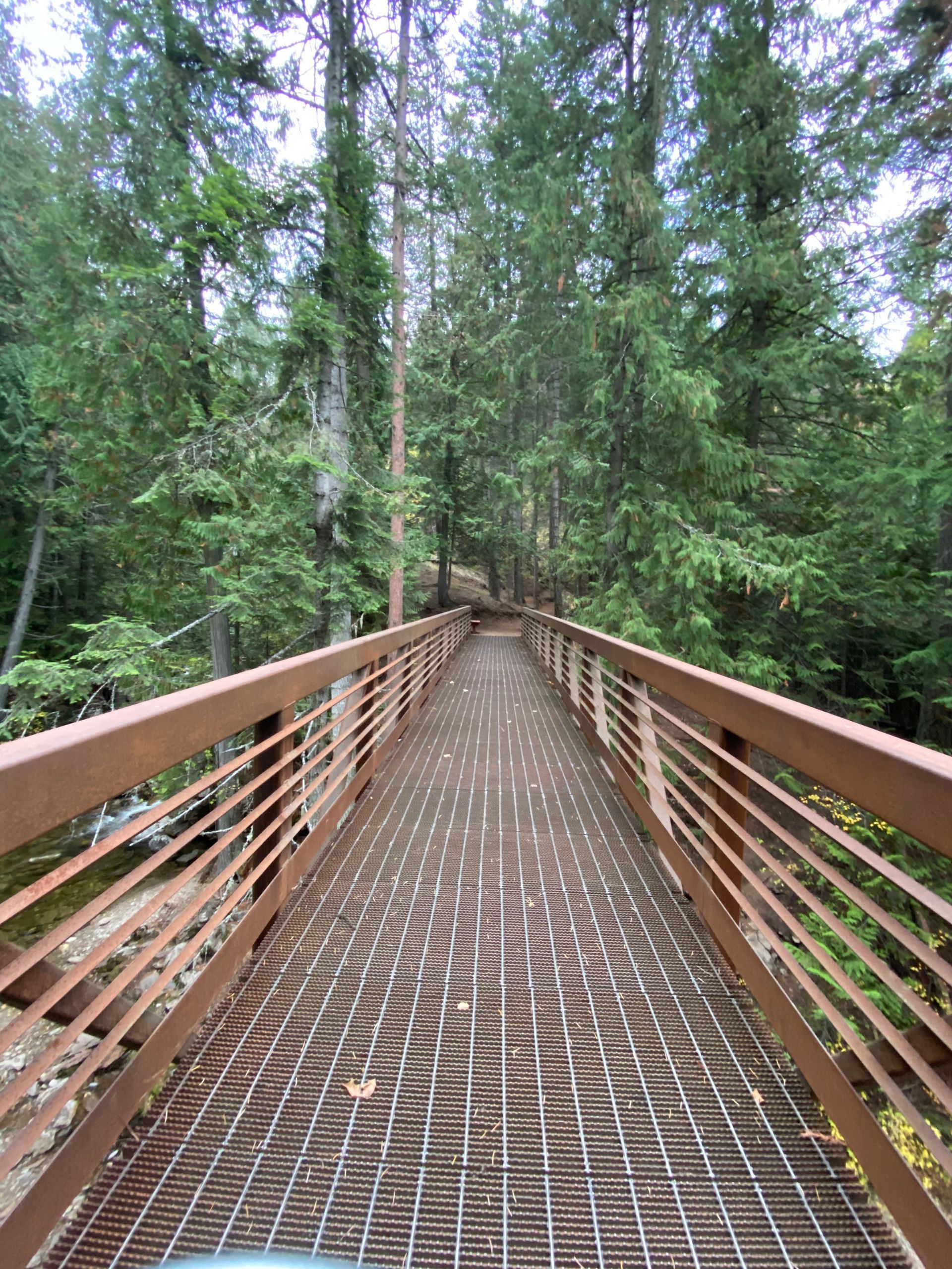 boardwalk