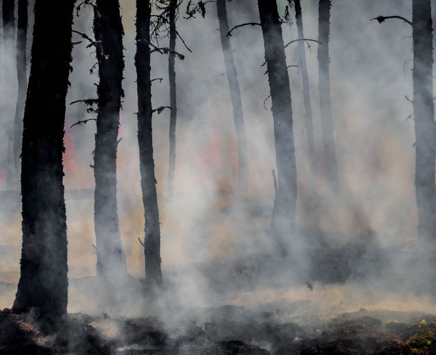 California Wildfire Insurance from BFIS