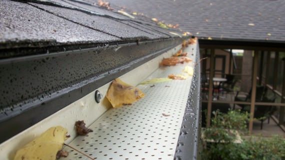 Rain gutter lined with dry leaves and debris beneath a shingled roof eave