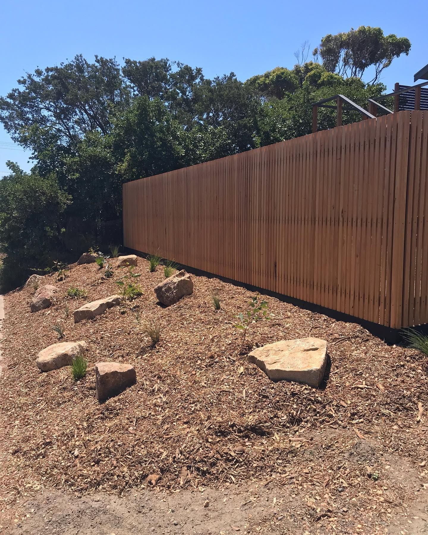 australian native landscaping and rocks