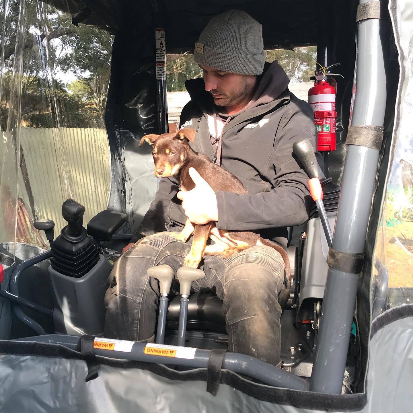 earthworks excavator operator with dog
