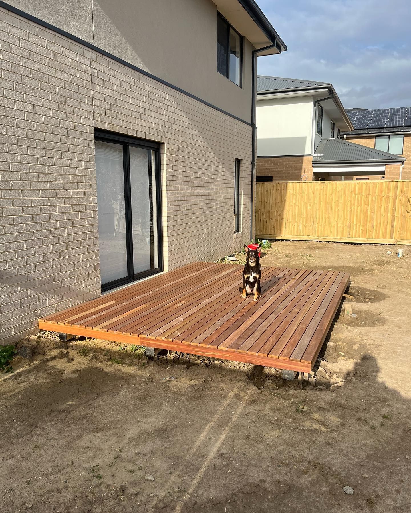 spotted gum deck with dog on it