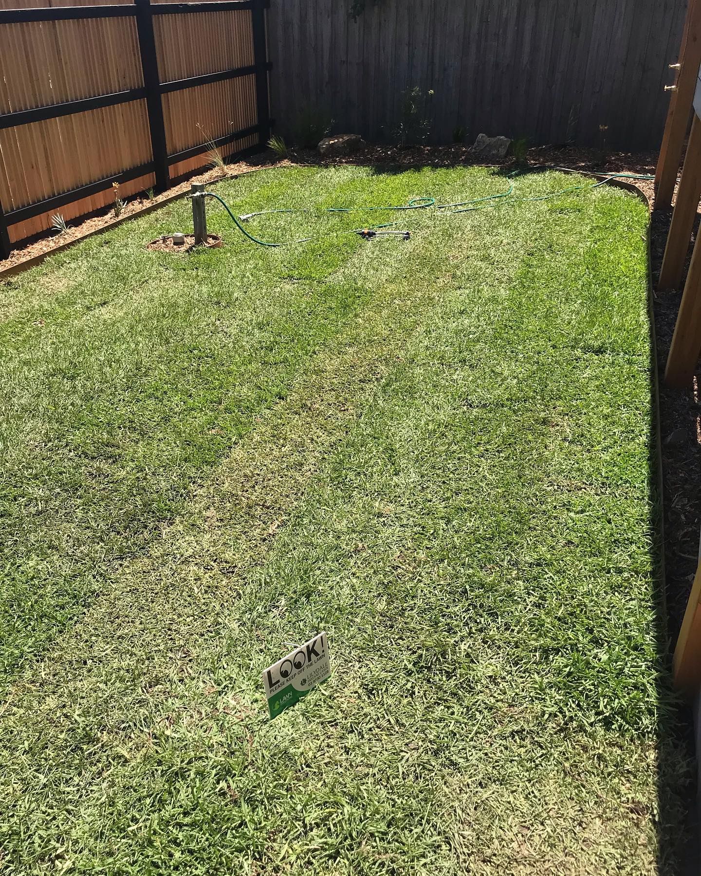turf installation after