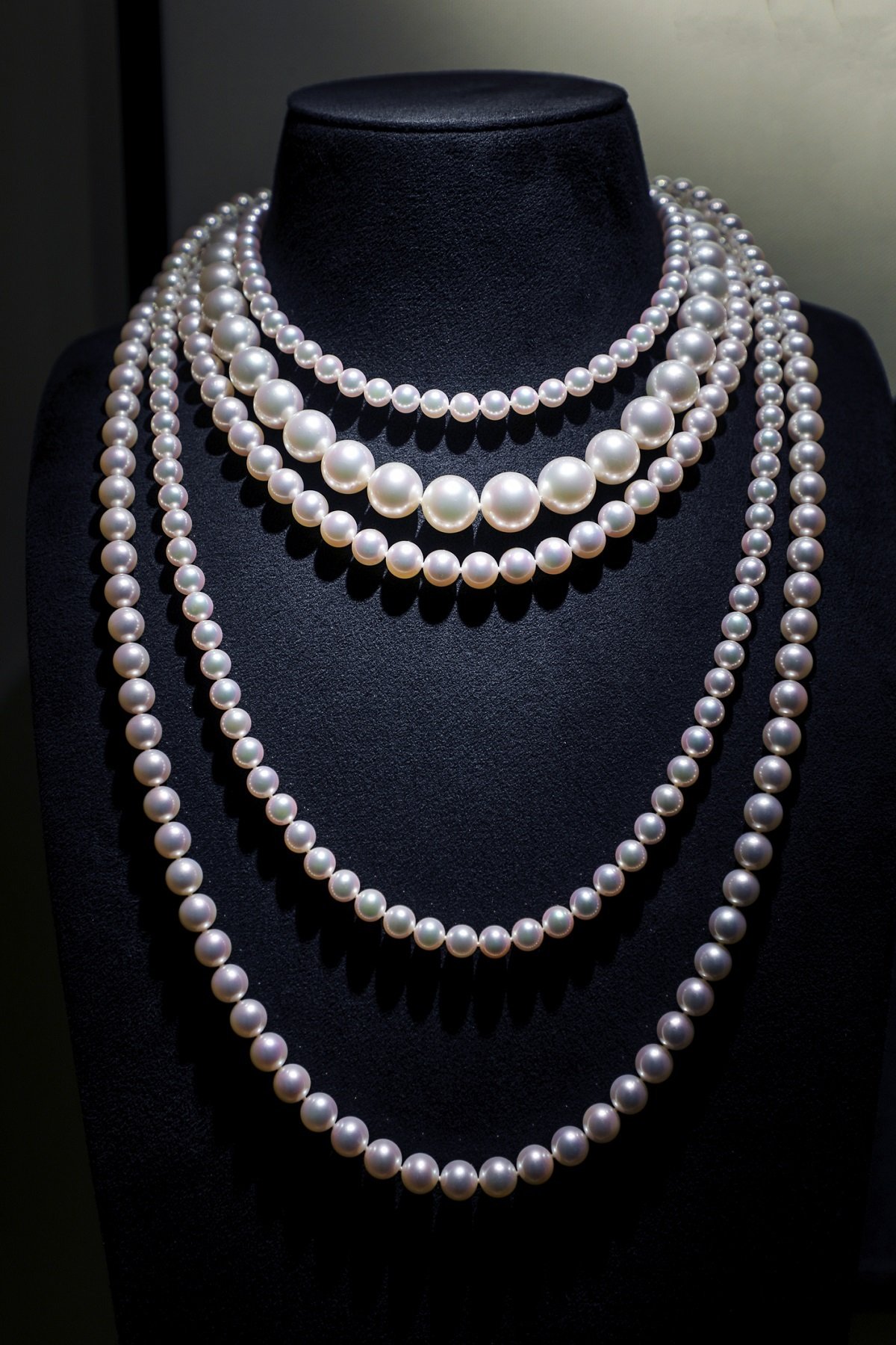 Jewelry Collection Charlottesville, VA Tuel Jewelers