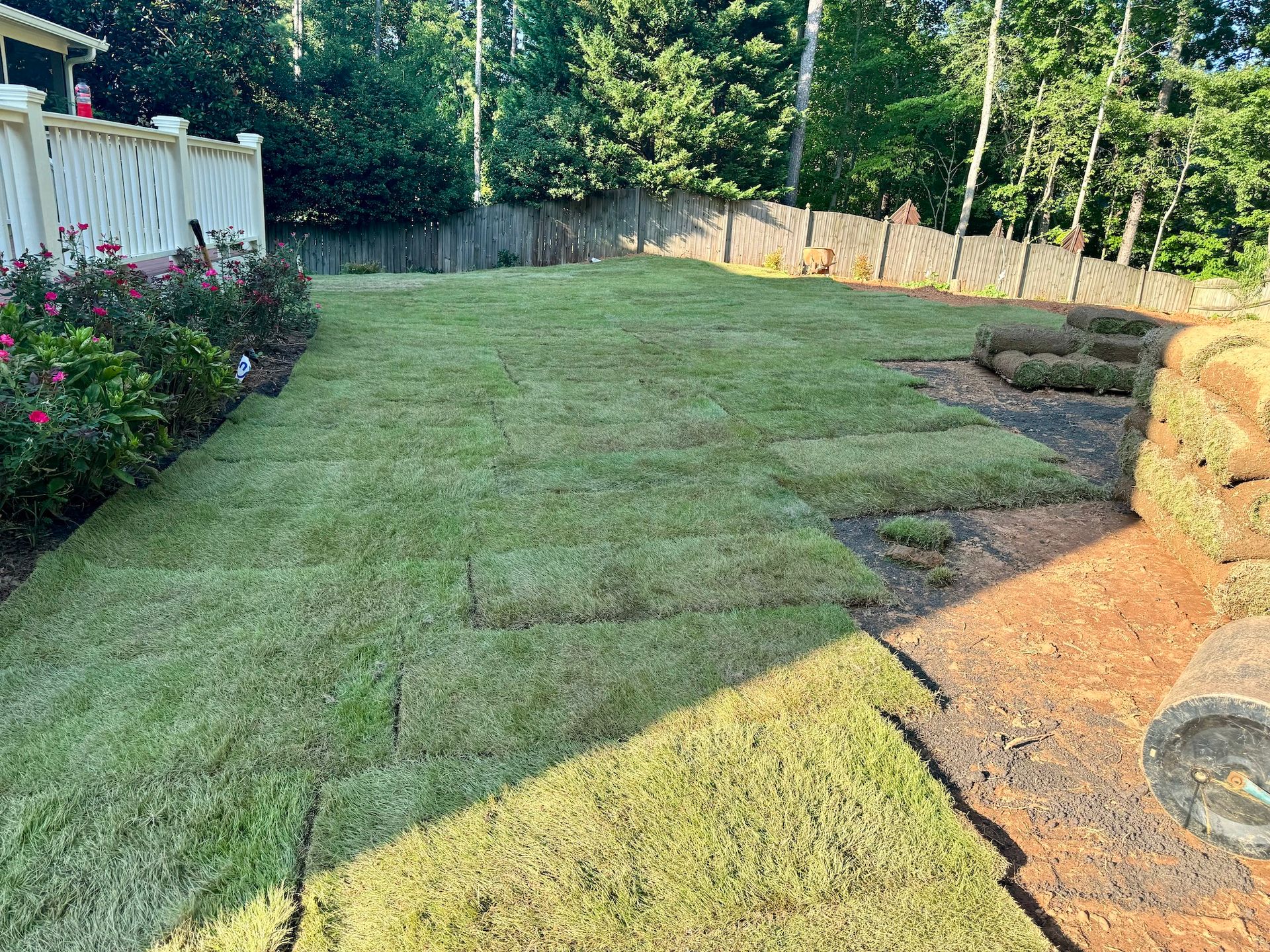 A lush green lawn is being installed in a backyard.