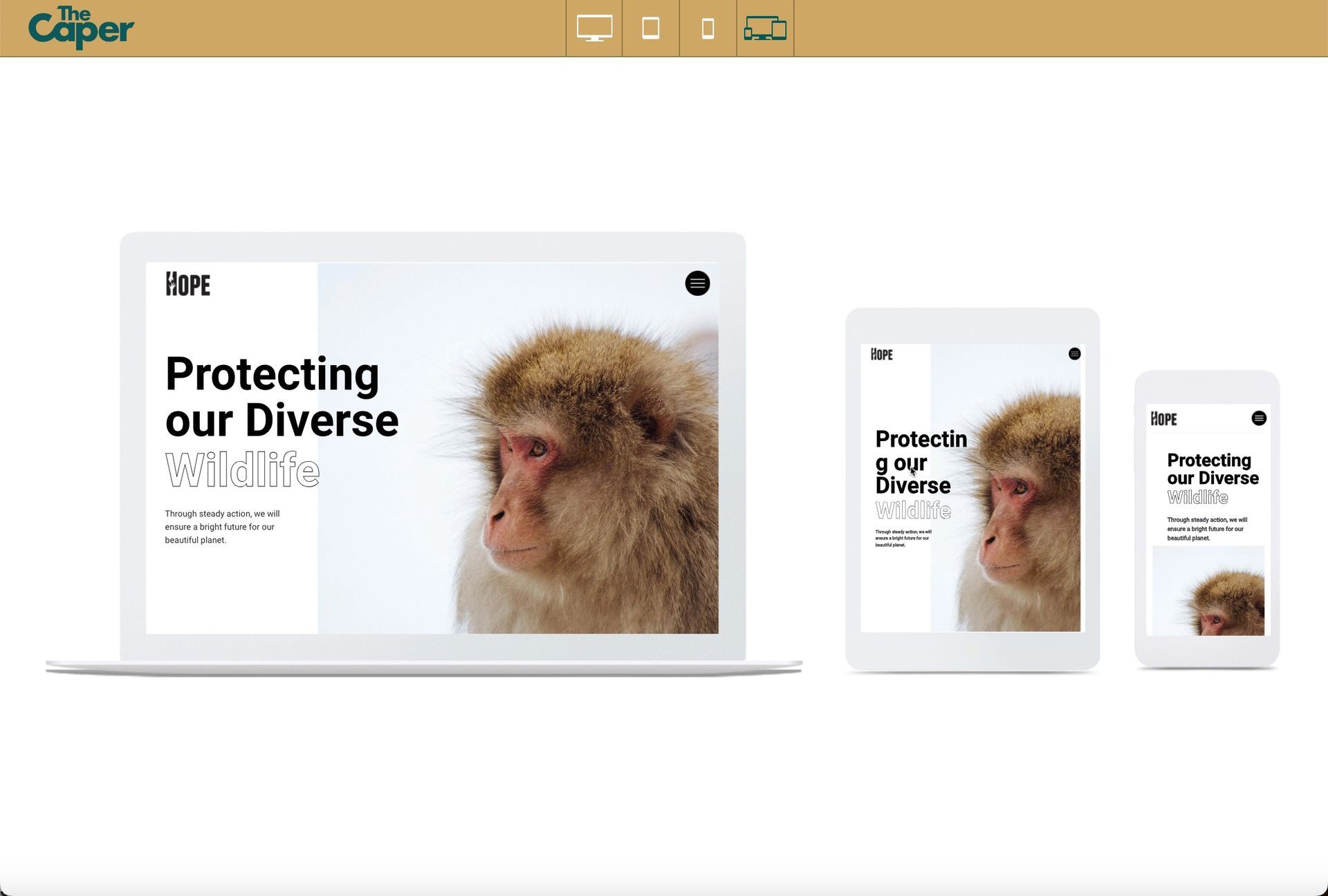 Website mockup showing a monkey photo and the headline “Protecting our Diverse” on laptop, tablet, and phone screens