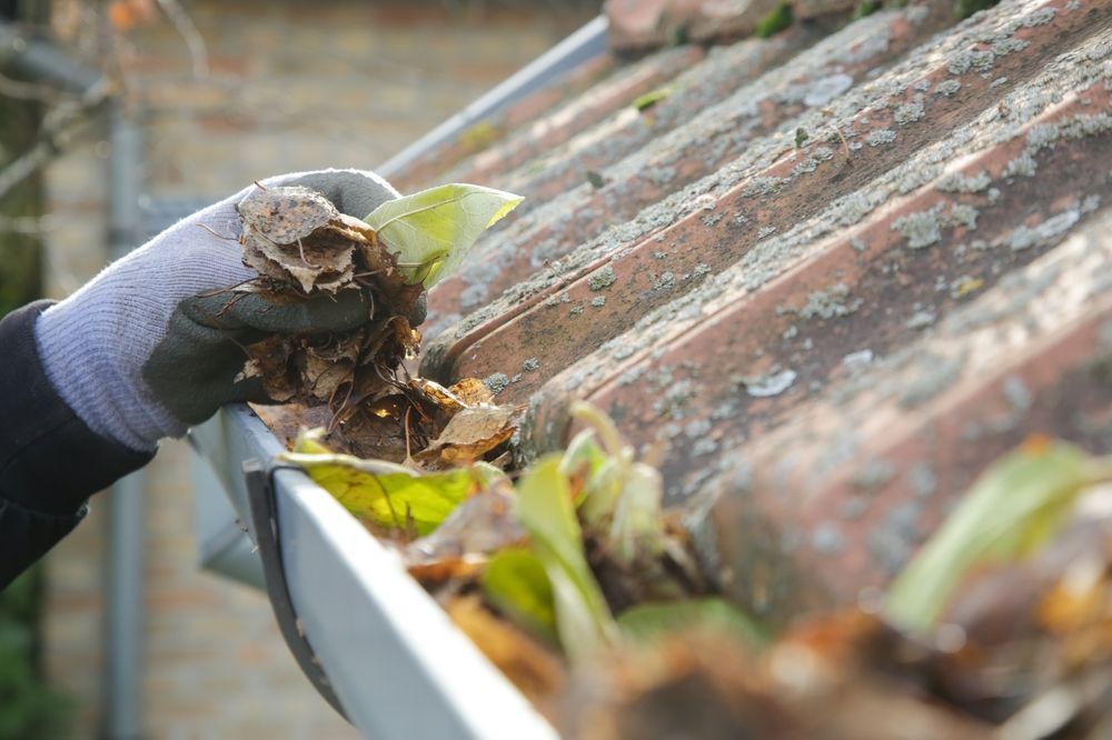 Gloved hand clearing leaves and debris from a rusty corrugated roof gutter