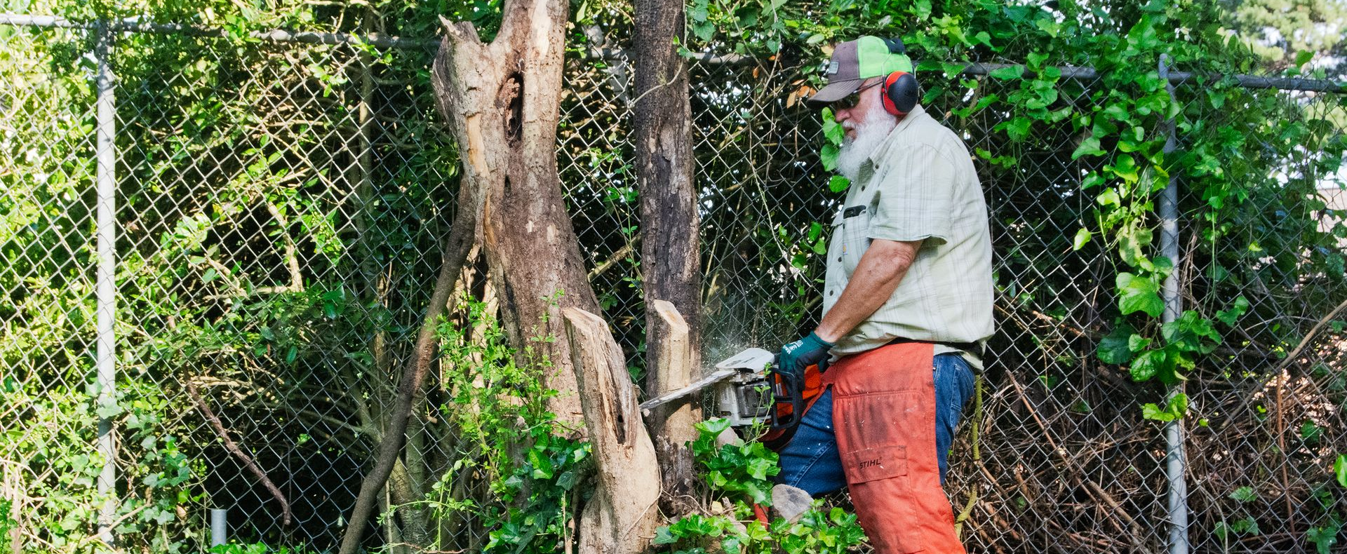 A man uses a chainsaw to cut down a tree stump as part of an Orange Grove Center landscaping volunteering project.