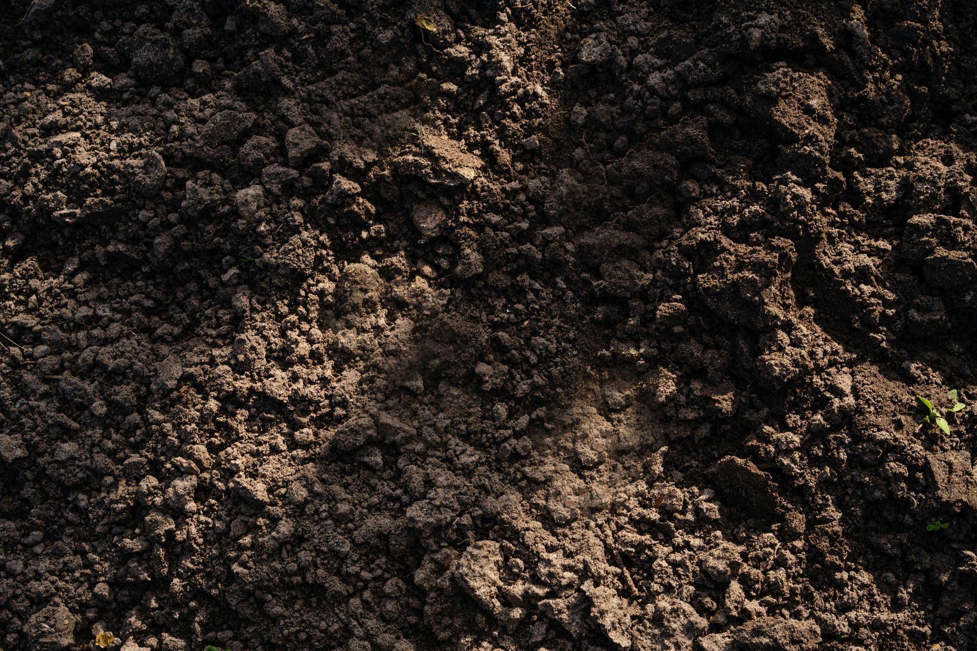 Dark, freshly turned soil with rough clumps and a small patch of green at the edge