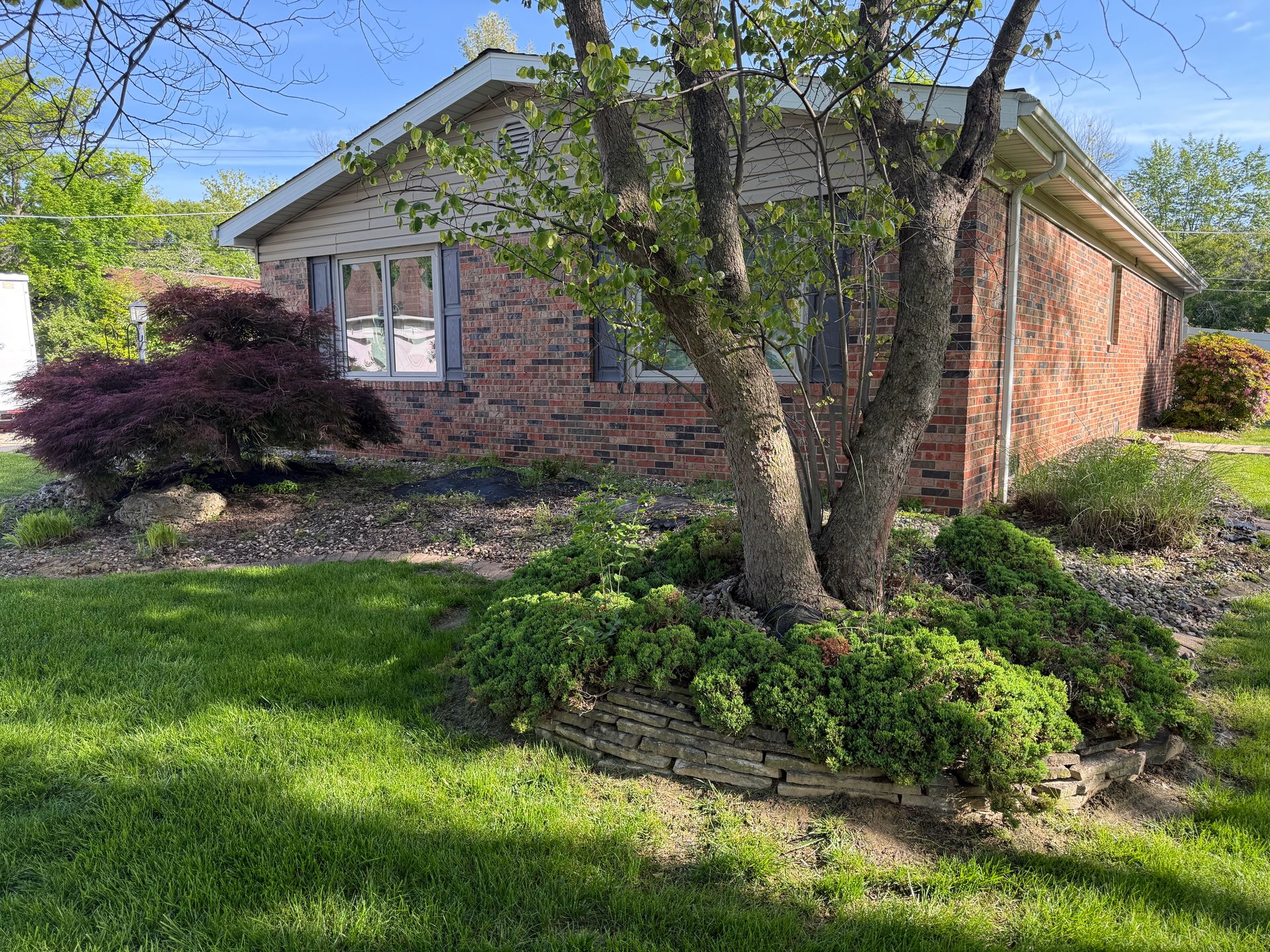 A one-story brick house with a stone-lined landscaping bed, a small purple-leaf shrub, and a large tree in the front yard.