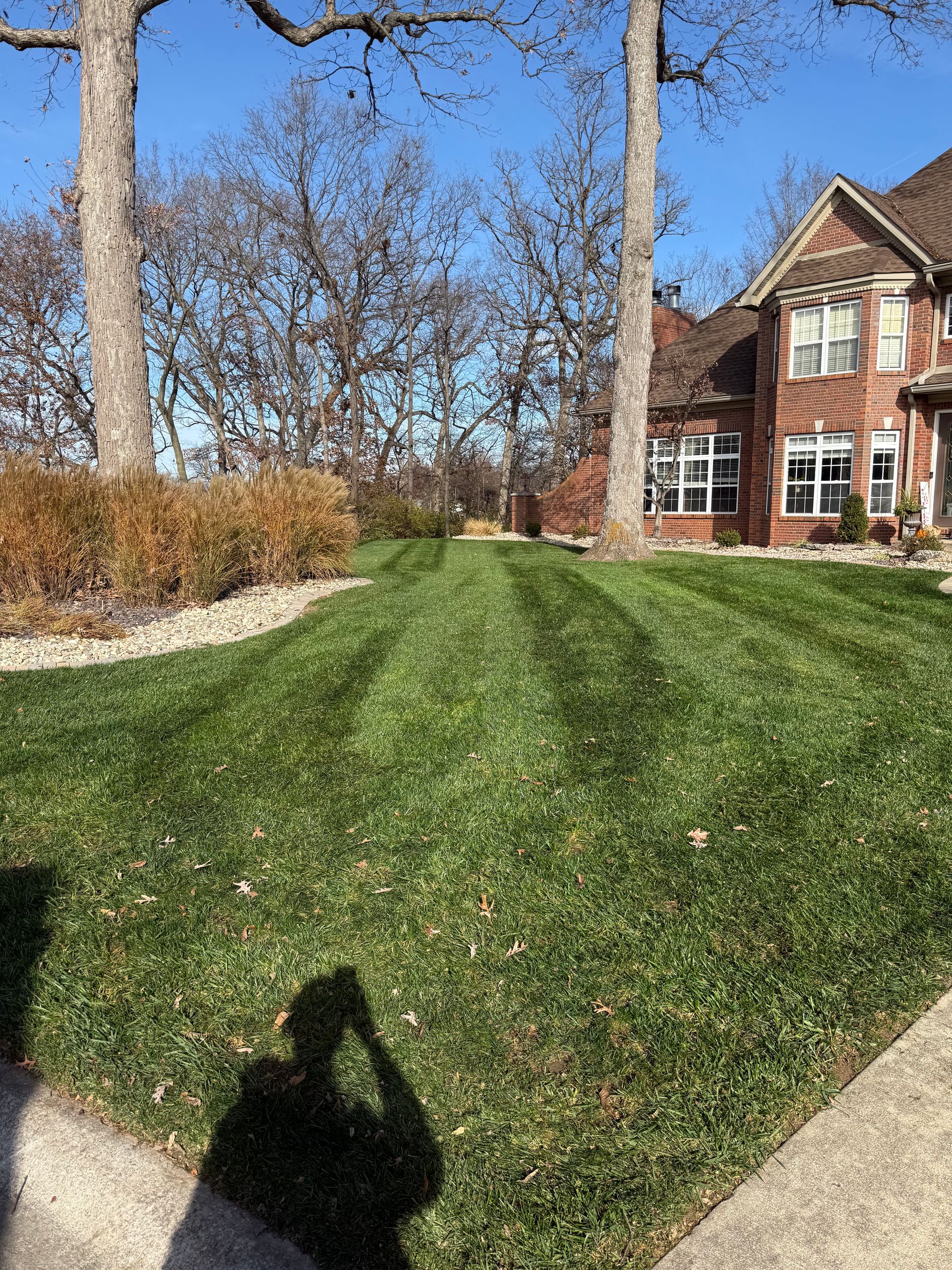 A mown lawn with striped patterns leads toward a brick house on a sunny day with bare trees in the background.