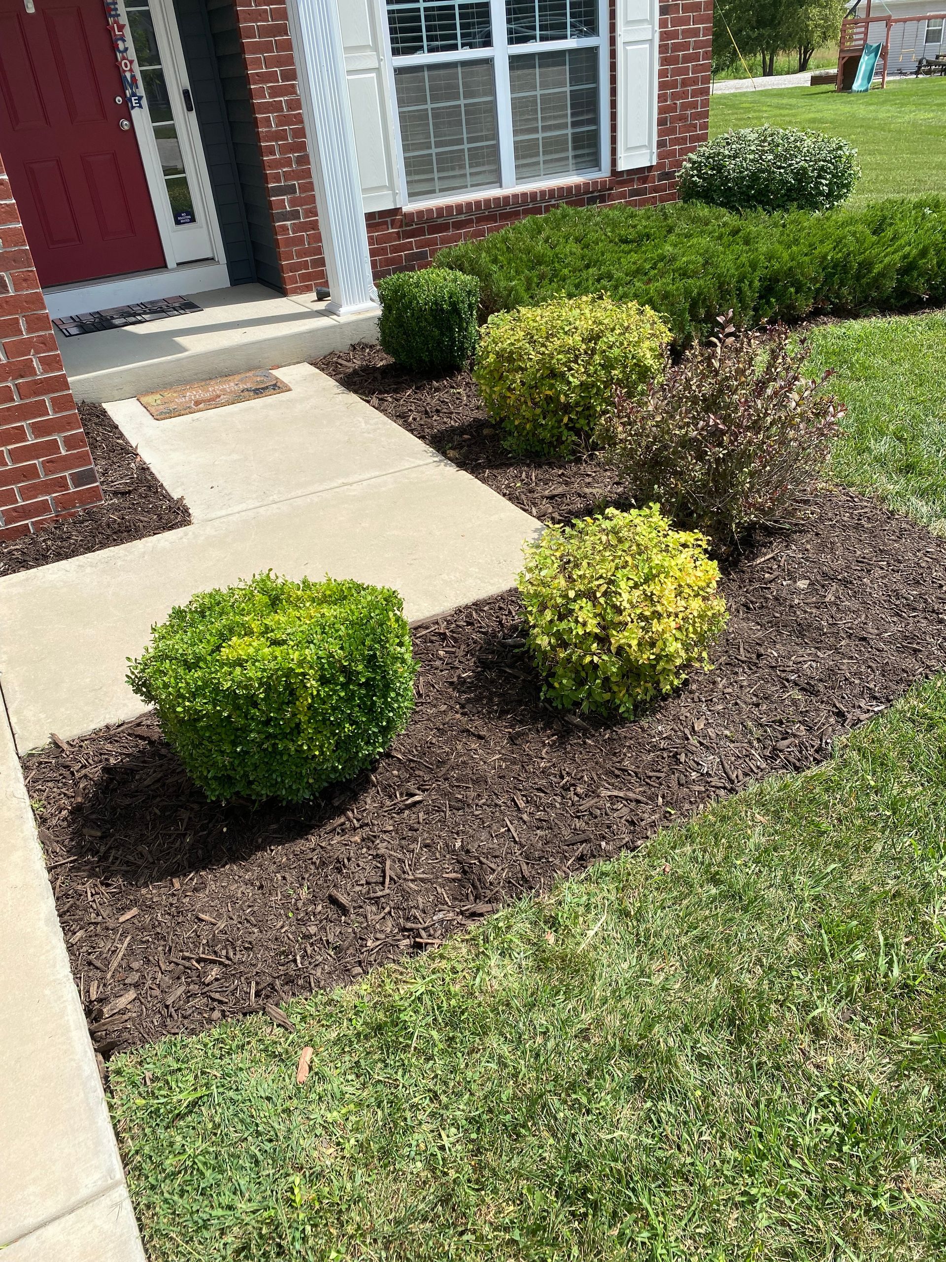 Neatly trimmed and manicured shrubs